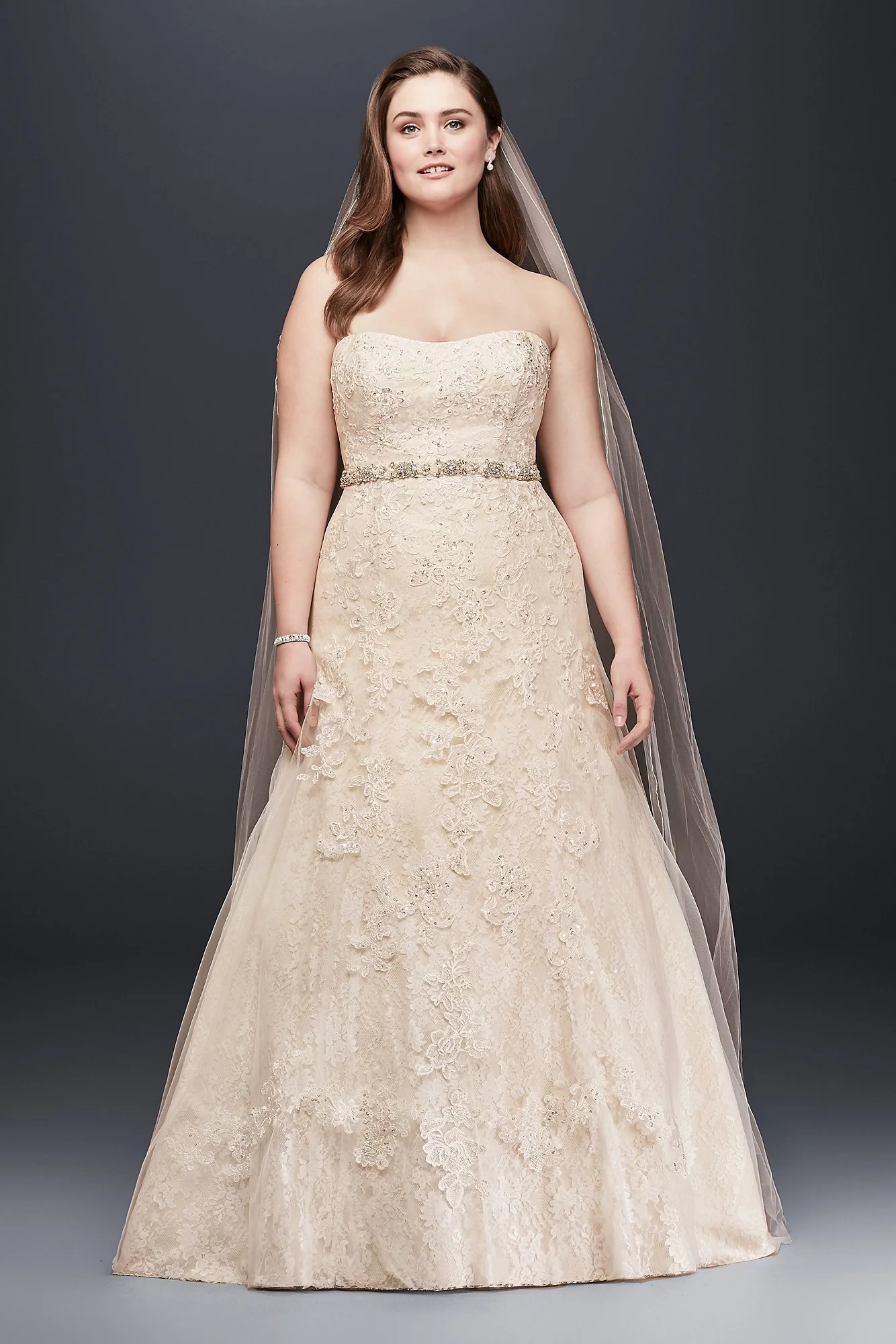 As-Is Lace A-Line Beaded Plus Size Wedding Dress