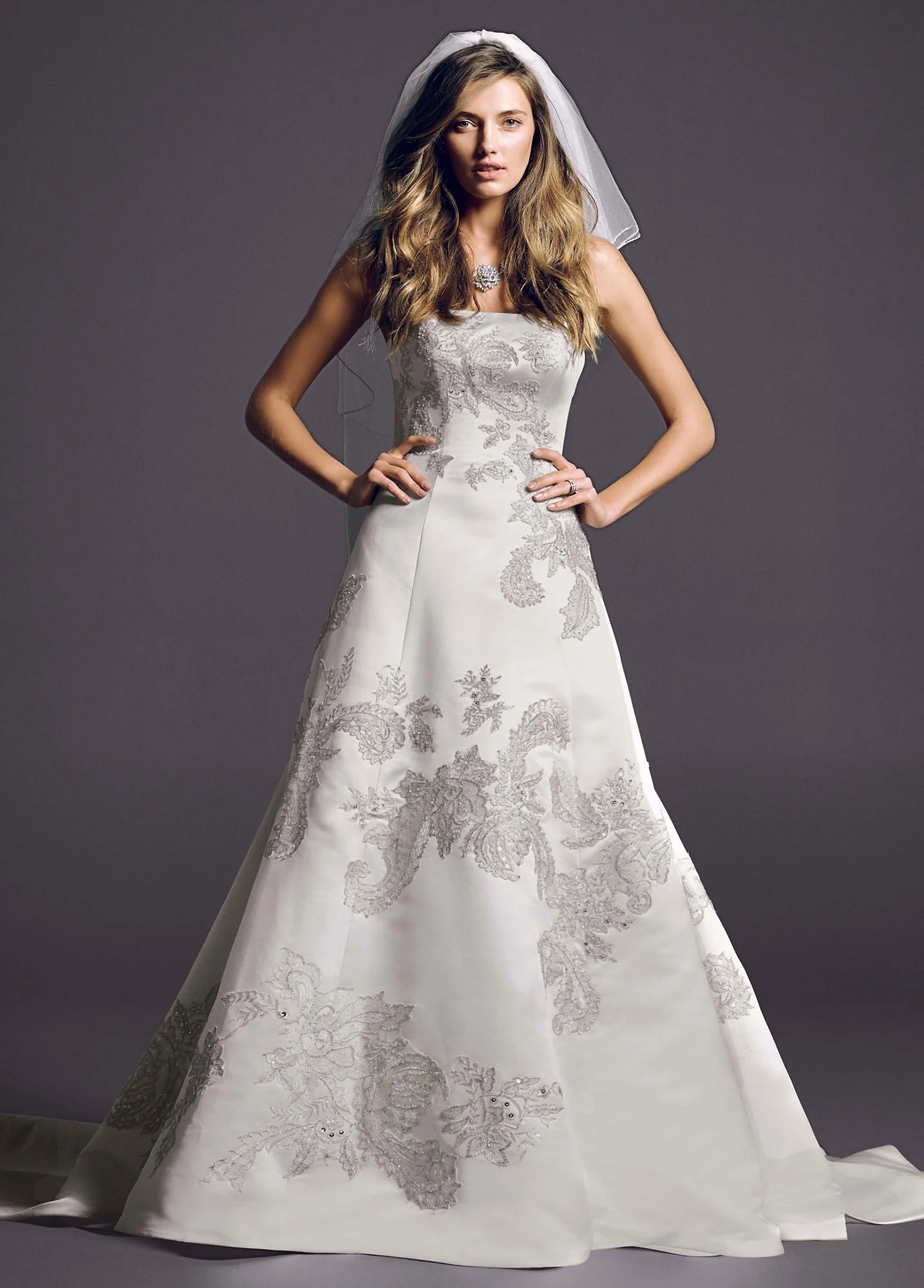 As-Is Metallic Lace Ball Gown Peek-a-Boo Back - Image 2