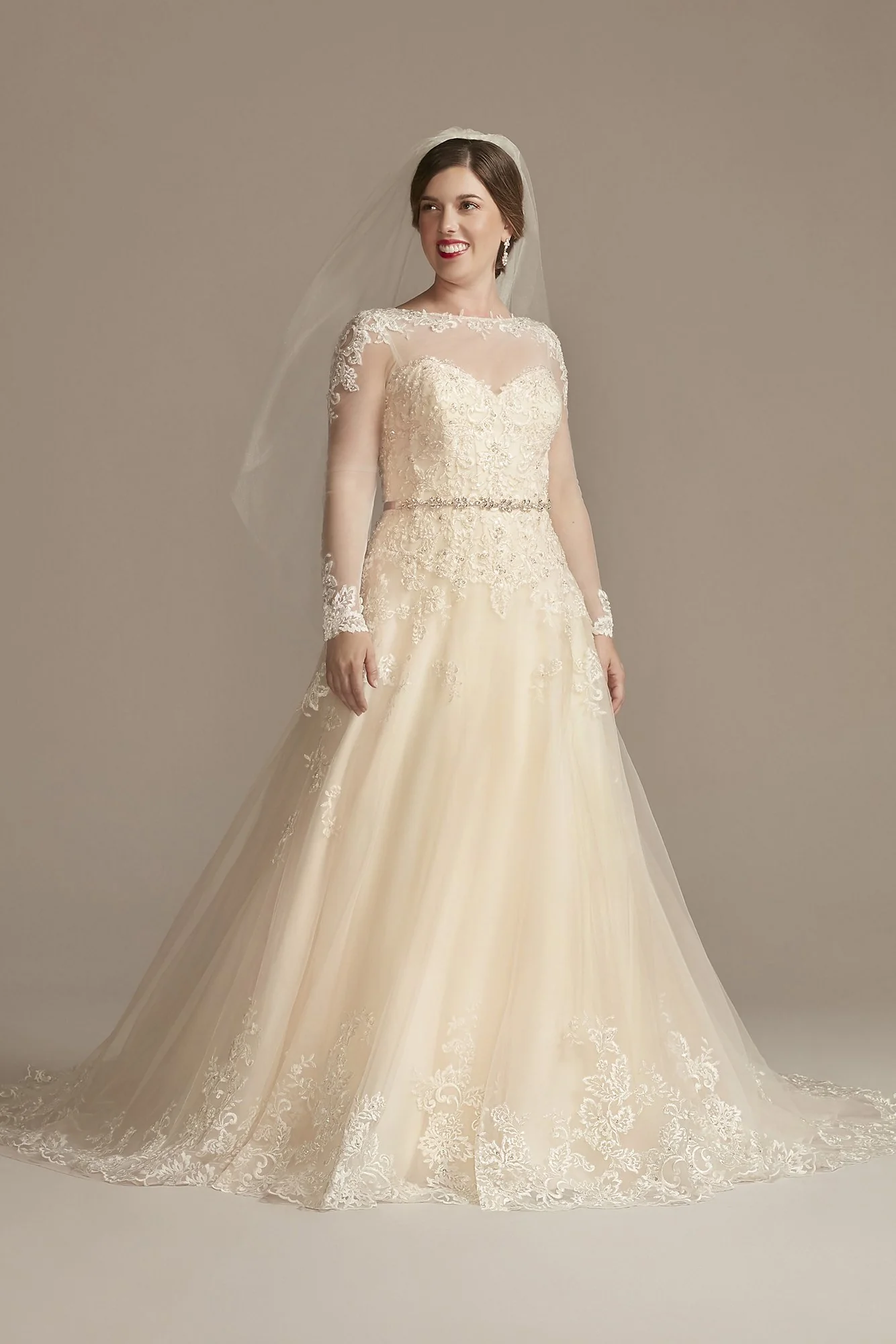 Beaded Lace and Tulle Ball Gown Wedding Dress - Image 11
