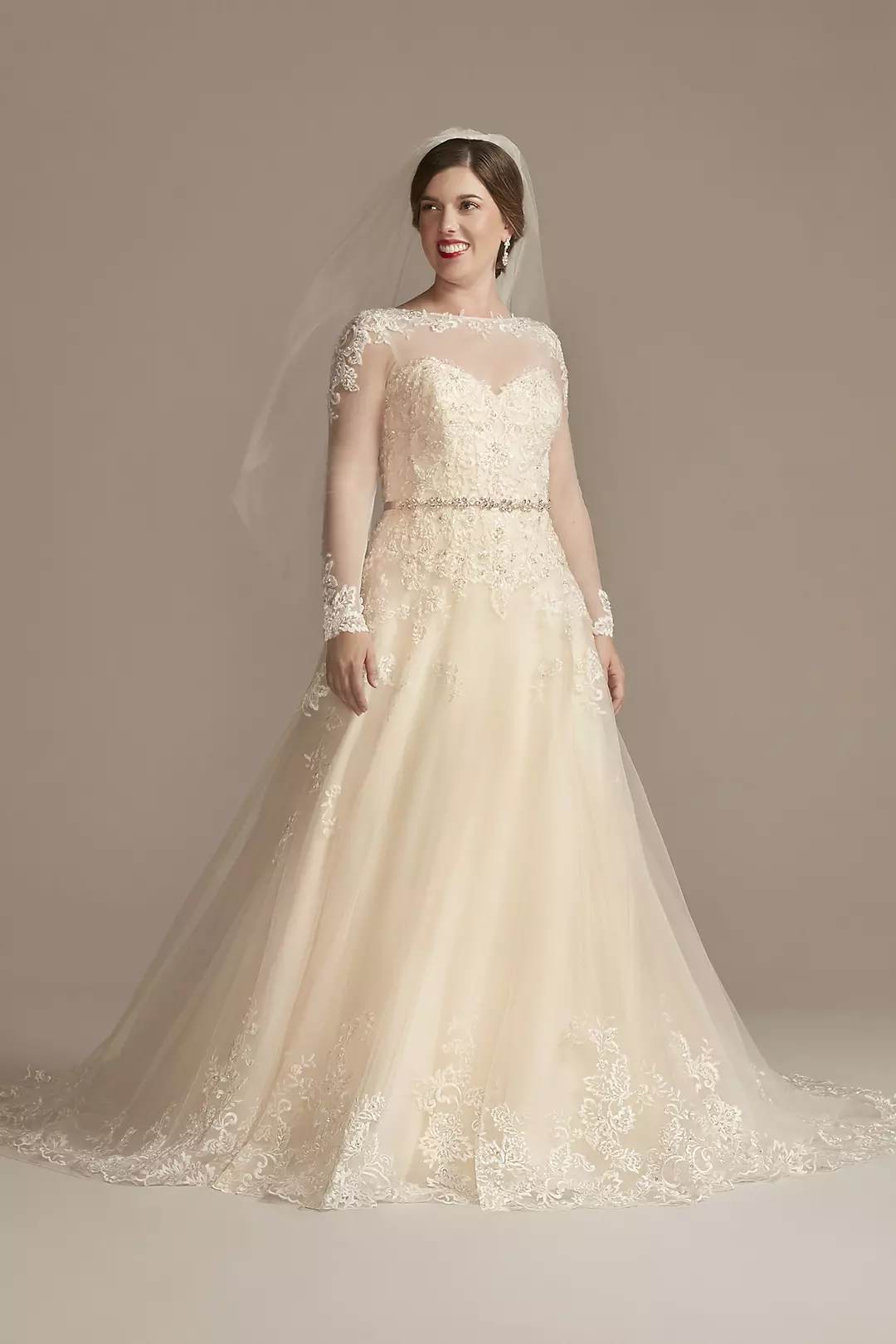 Beaded Lace and Tulle Ball Gown Wedding Dress - Image 28