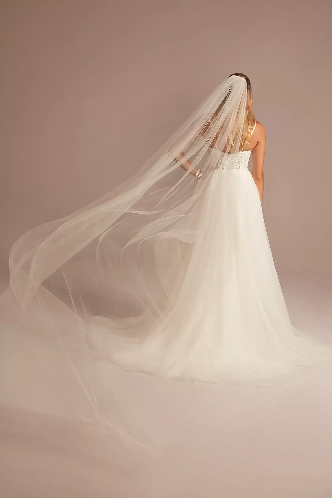 Cathedral-Length Shimmer Tulle Veil - Image 3