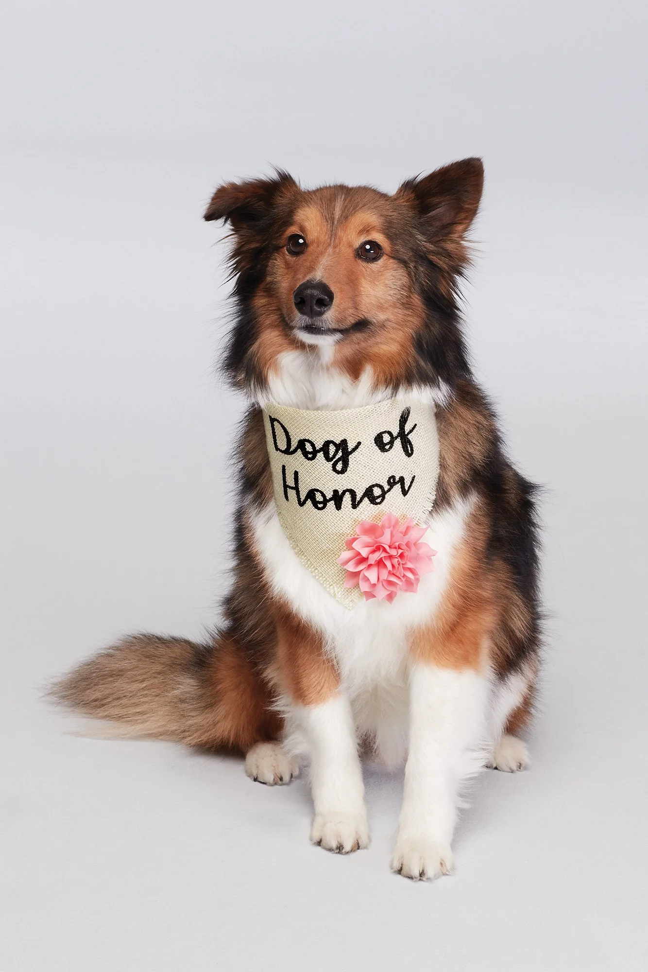 Dog of Honor Flower Bandana