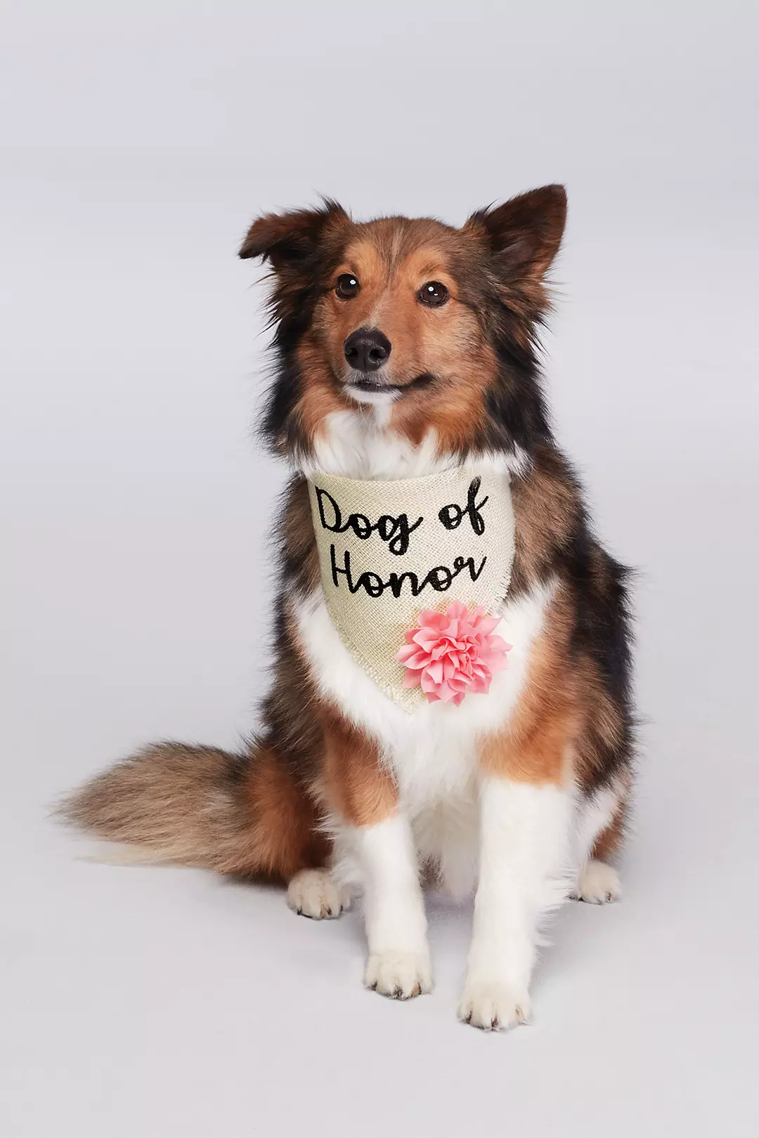 Dog of Honor Flower Bandana - Image 2