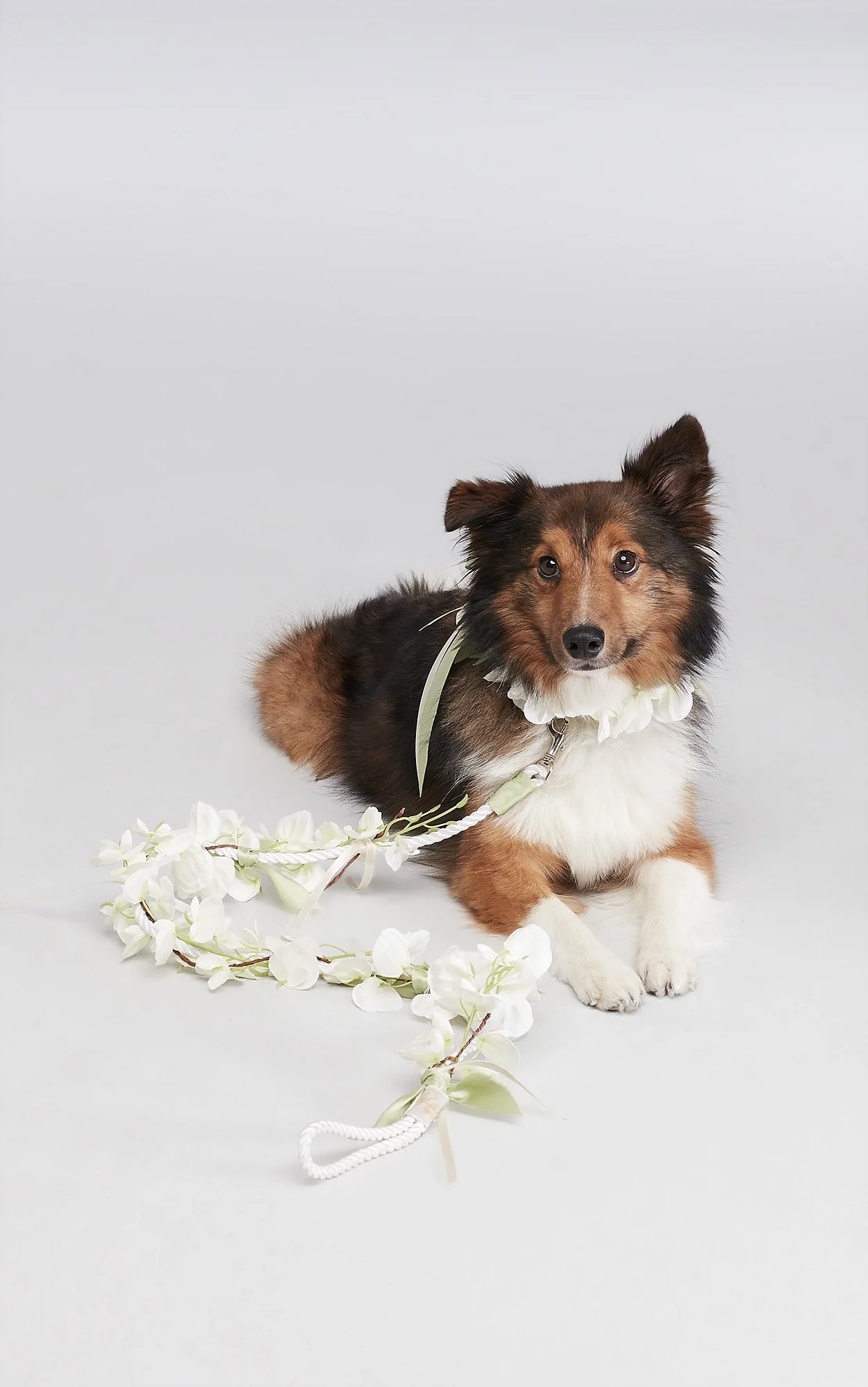 Floral Ribbon Dog Leash