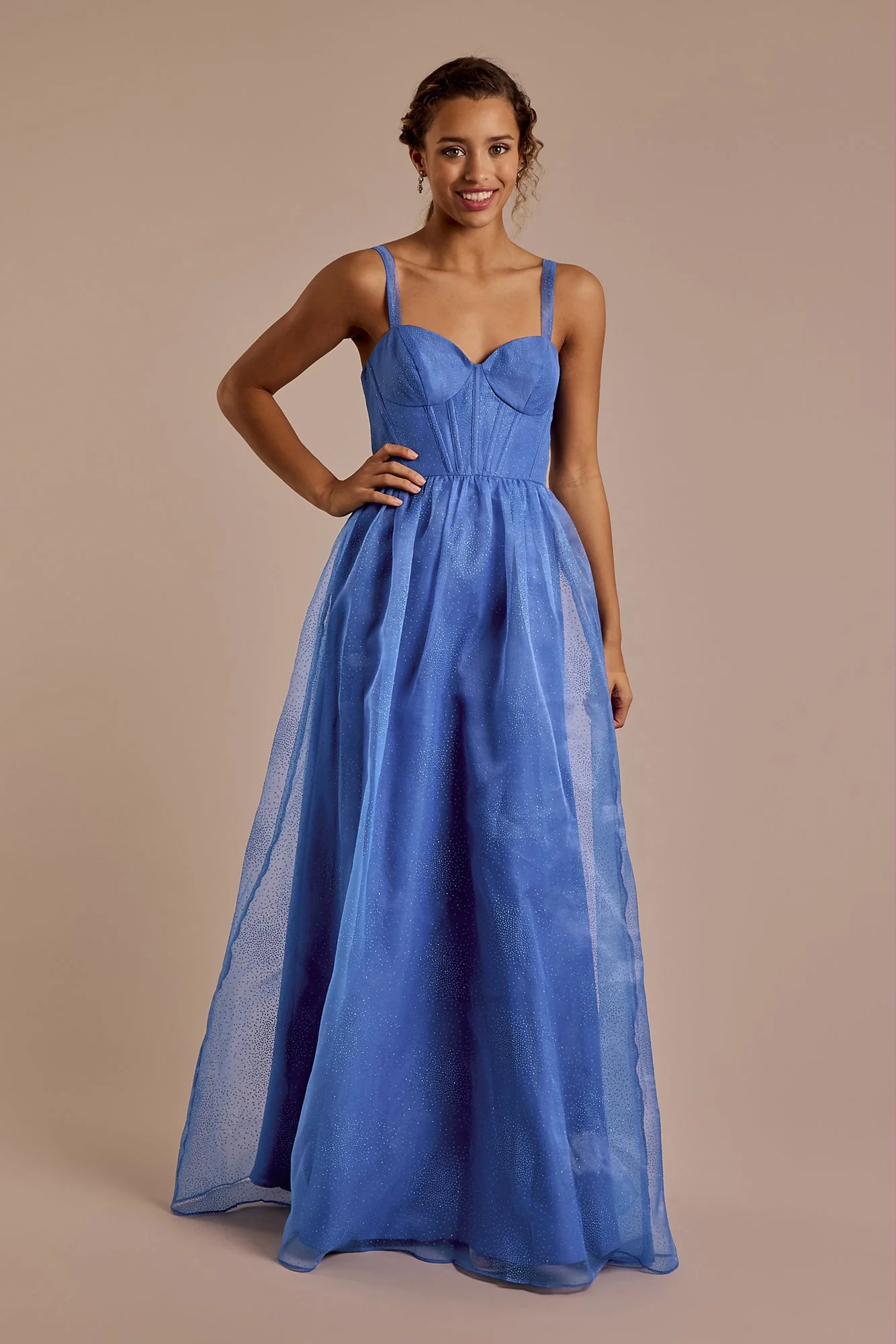 Glitter Tulle Corset Bodice Ball Gown