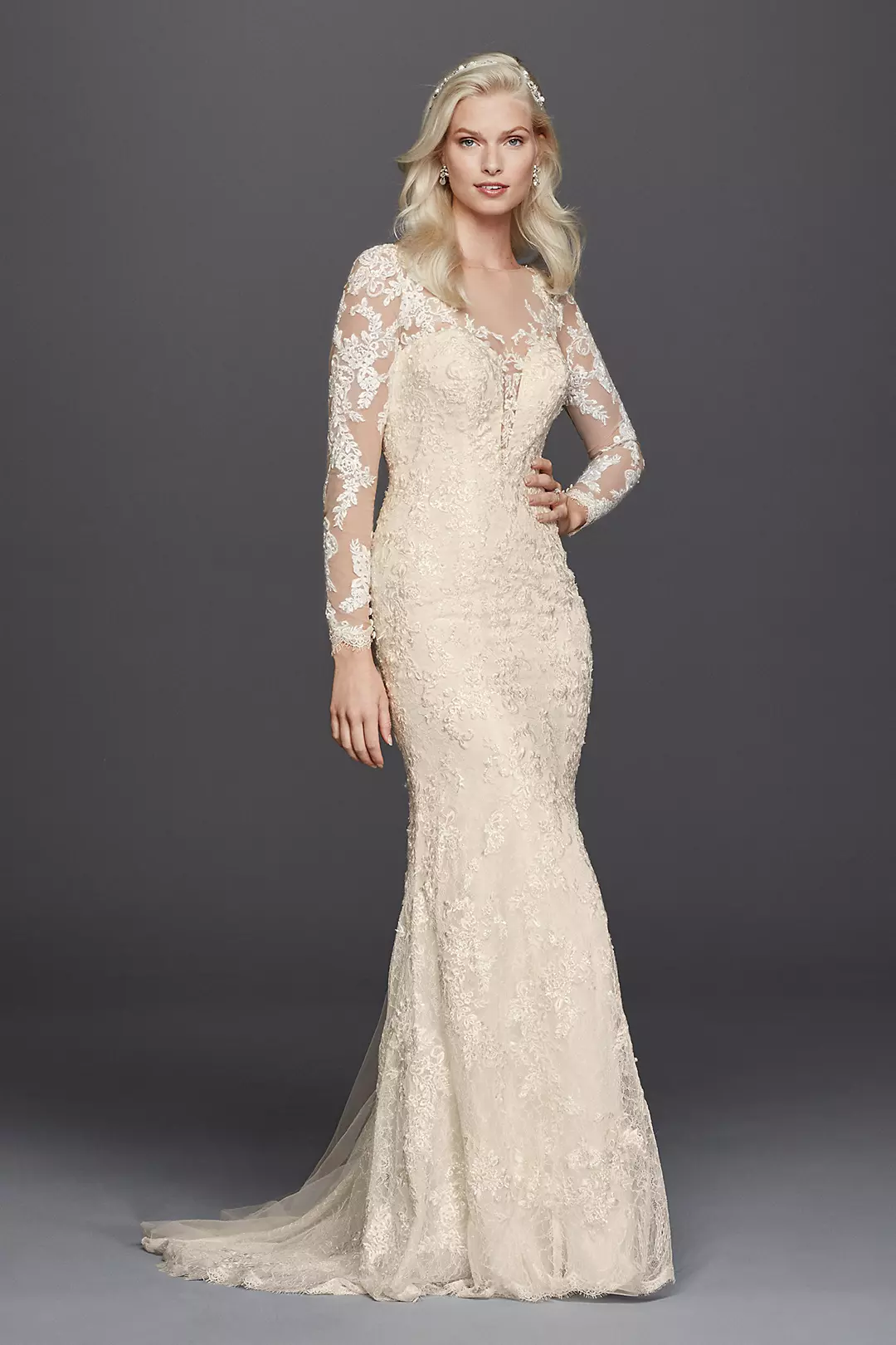 Lace Long Sleeve Illusion V-Neck Wedding Dress - Image 9