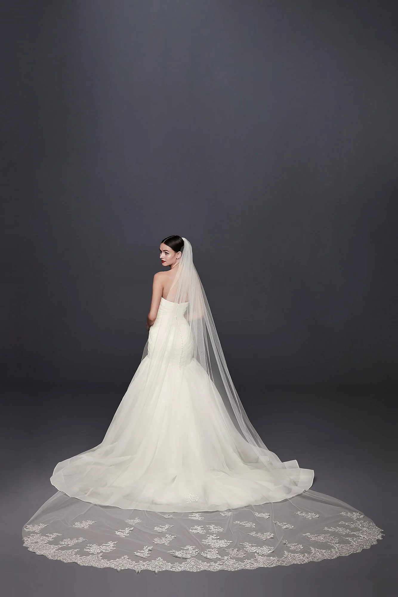 Metallic Embroidered Cathedral Veil