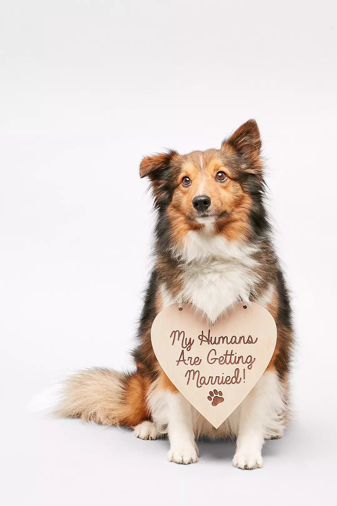 My Humans Are Getting Married Sign - Image 3