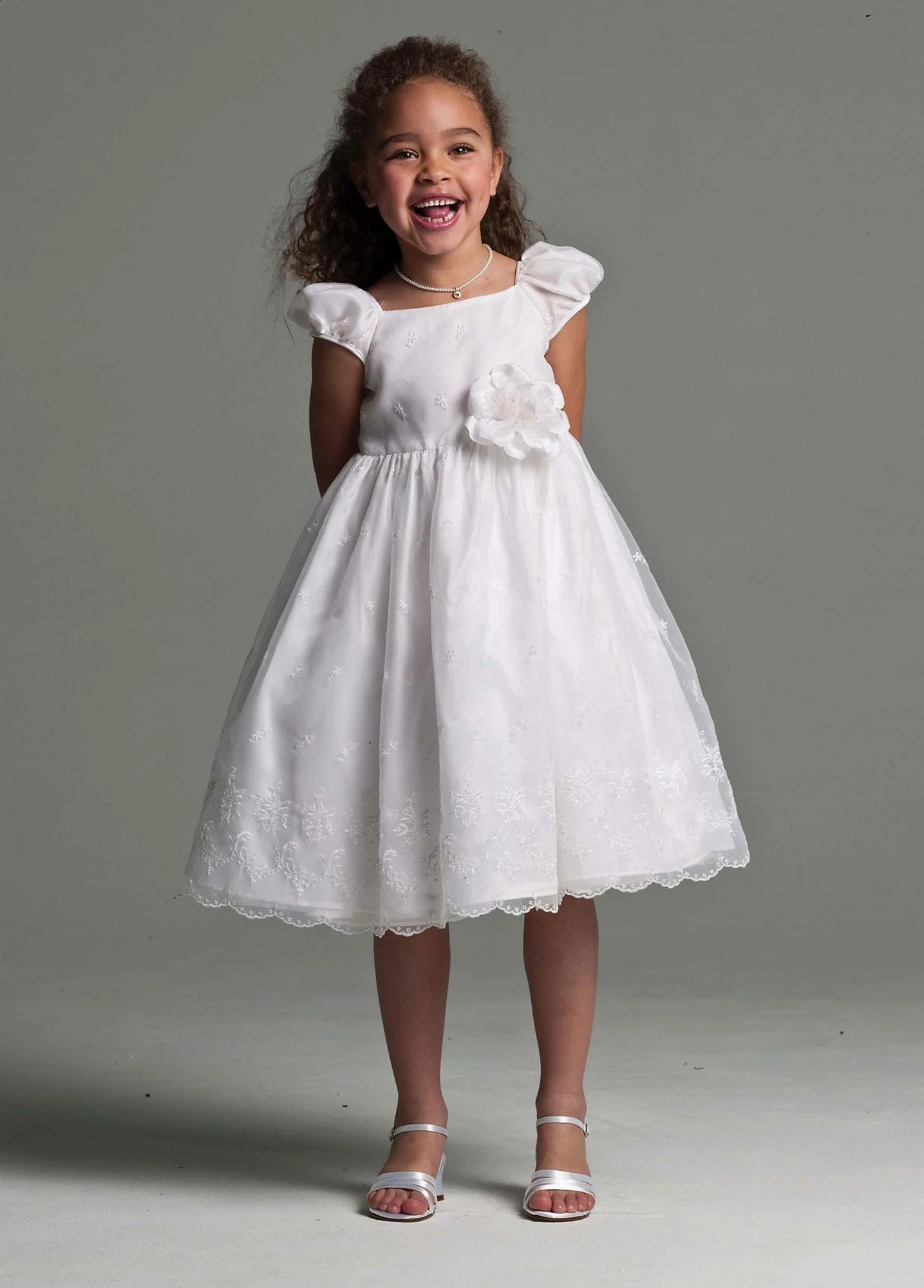 Organza Puff Sleeve Dress