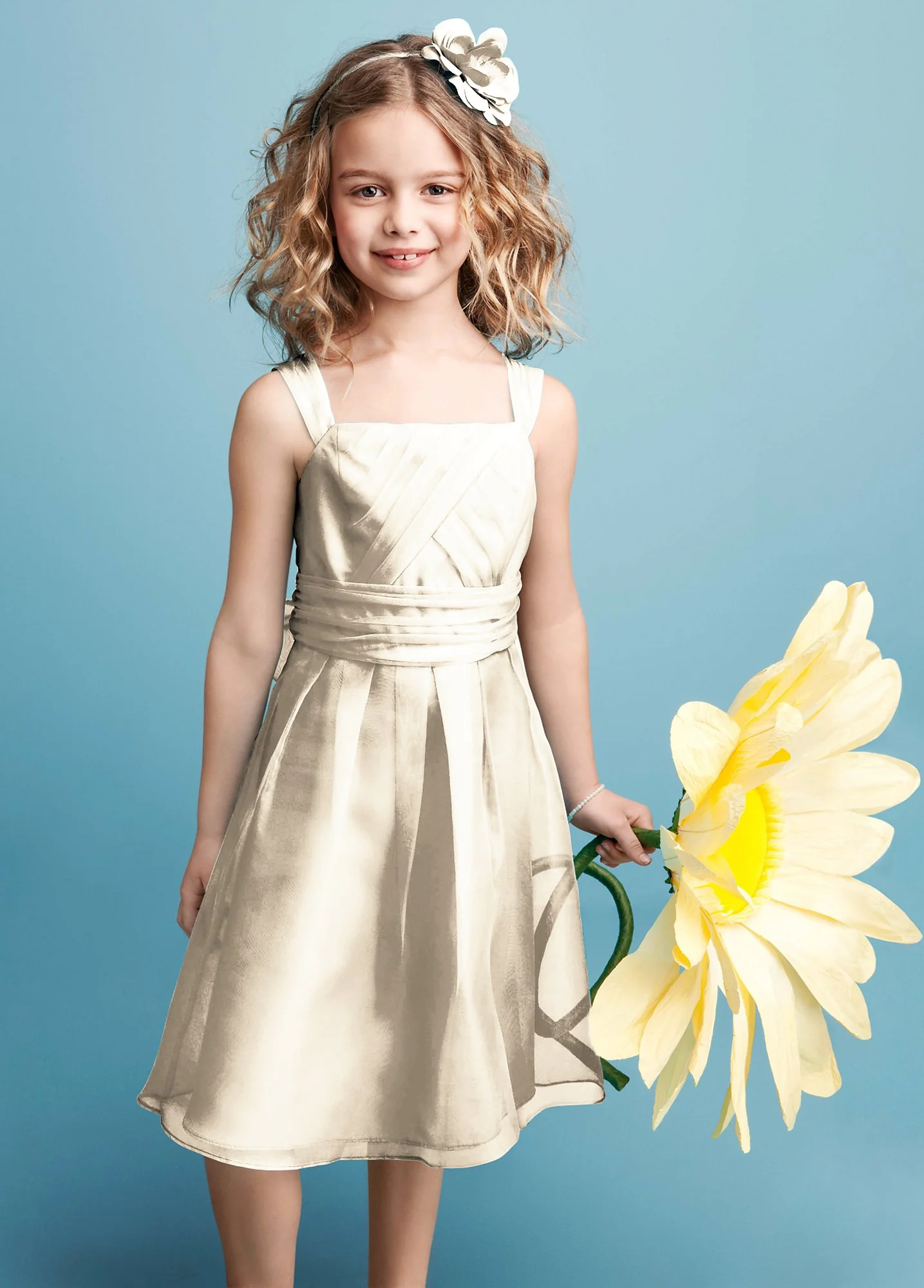 Sleeveless Organza Dress with Pleating - Image 6
