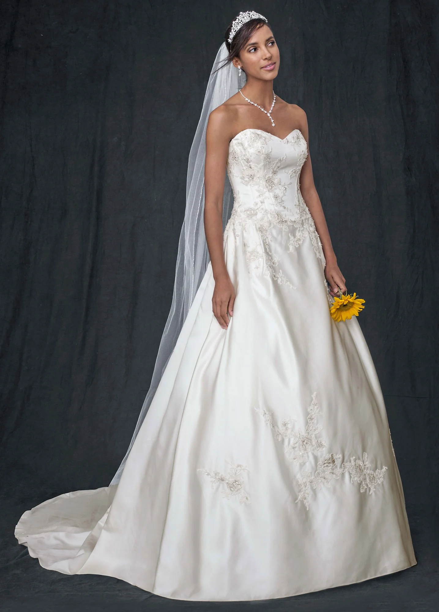 Strapless Corset Ball Gown with Lace Appliques - Image 3