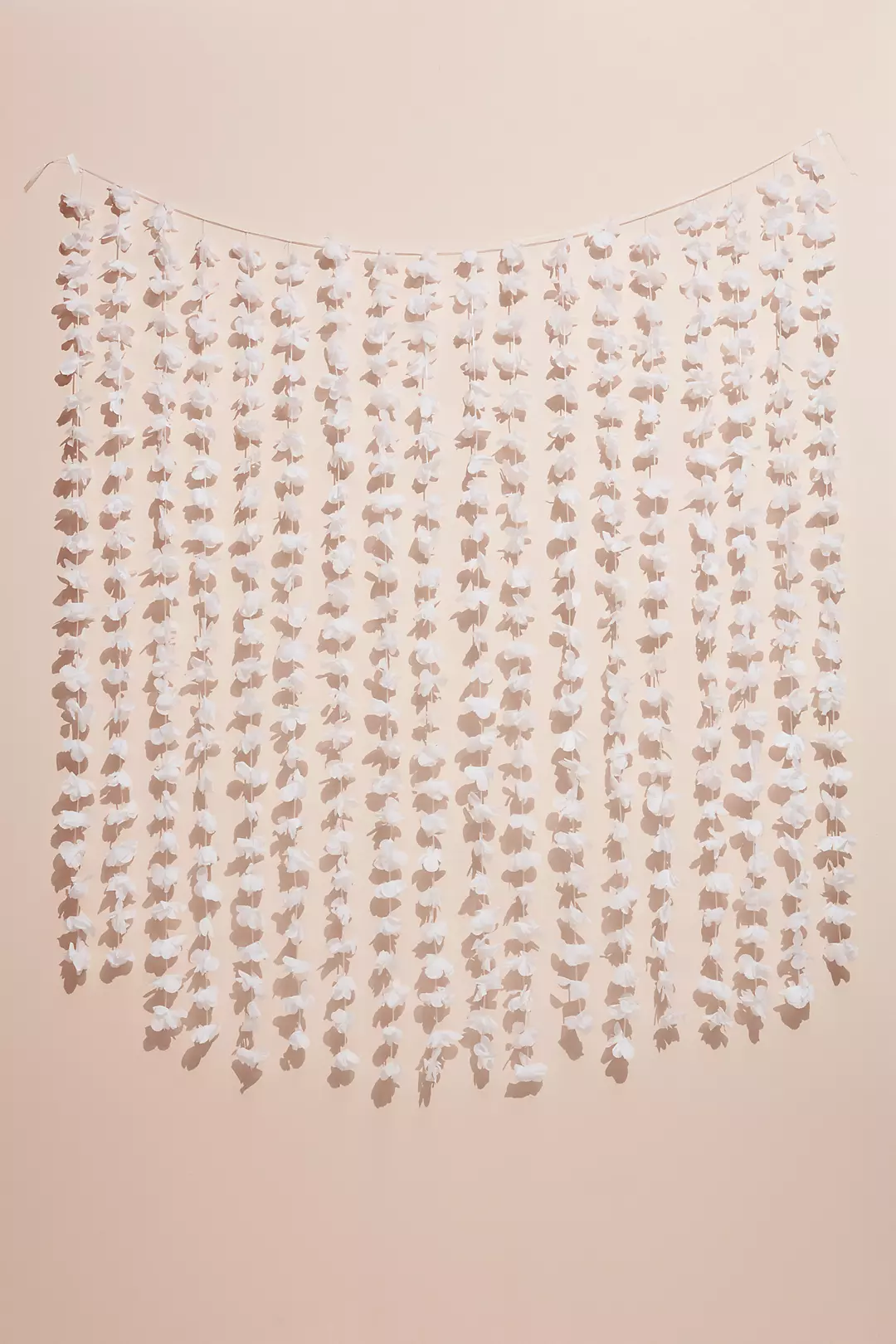 White Floral Backdrop - Image 2